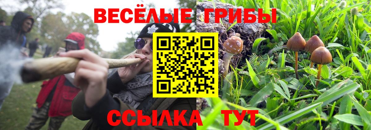 Псилоцибиновые грибы Magic Shrooms Крымск