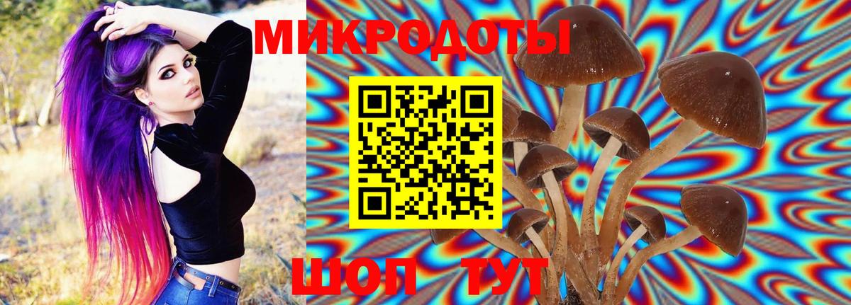 Крымск  где продают   Вход с VPN  Псилоцибиновые грибы ЛСД 